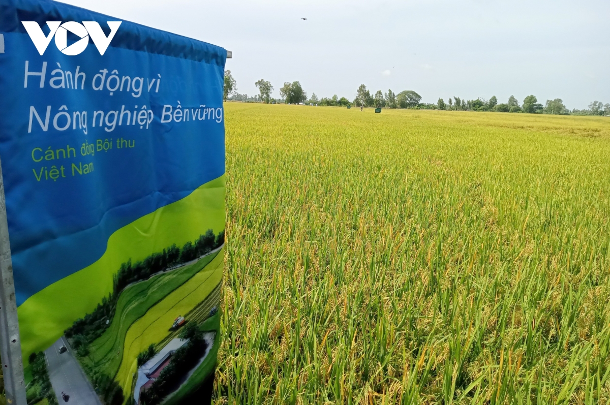 Mở rộng hợp tác trong phát triển mô hình canh tác bền vững, phát thải thấp